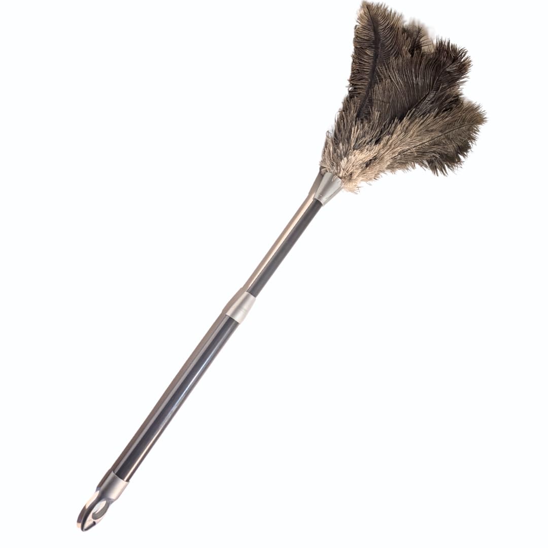 OfficeGear Extendable Genuine Ostrich Feather Duster [62-78cm] - Cleaning Lights, Doorways, Skirting, Cupboards, Ceilings