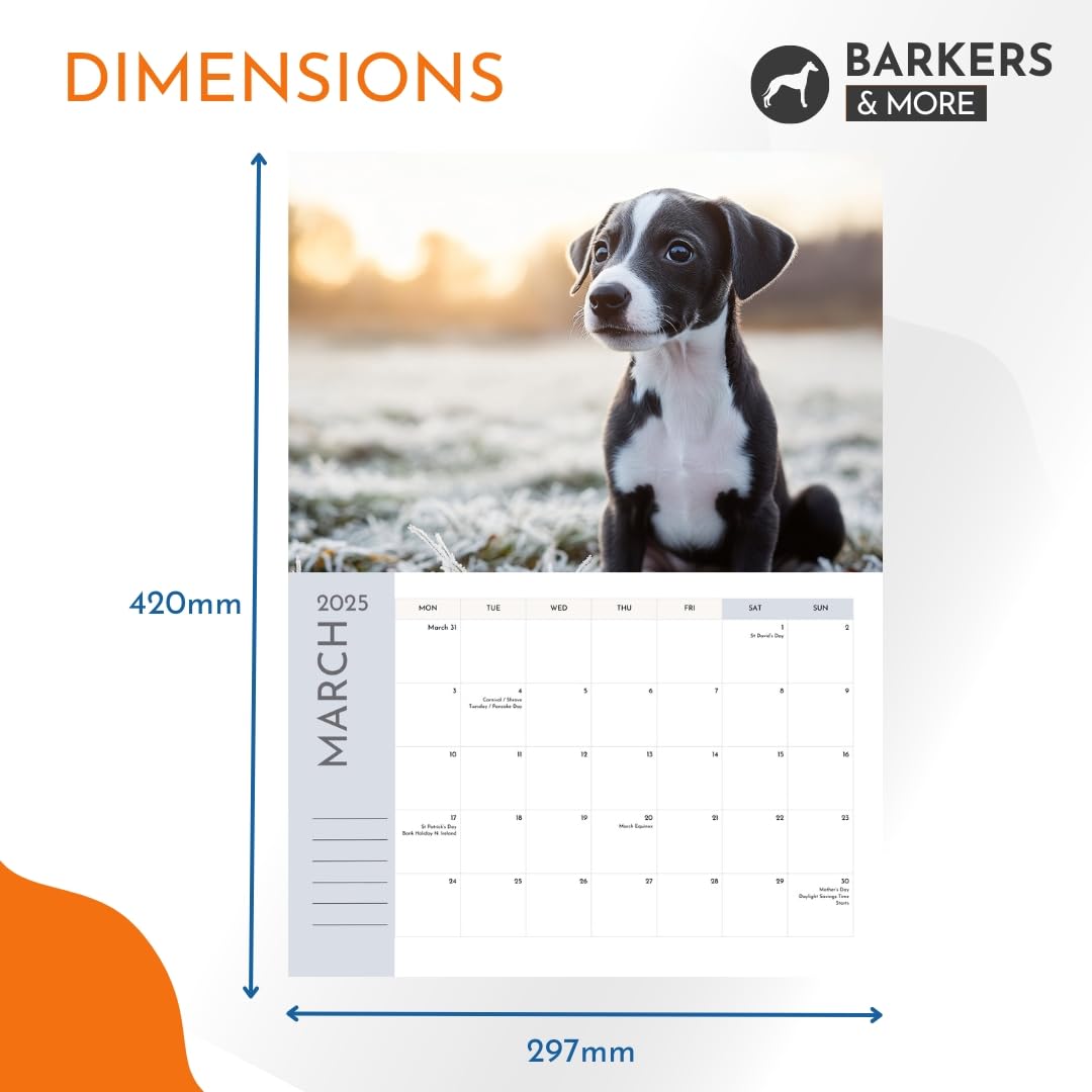 Barkers & More 2025 Whippet Lovers Calendar [A3 Size when open] 14 Month up to February 2026 plus full 2026 planner, including notes section and holidays