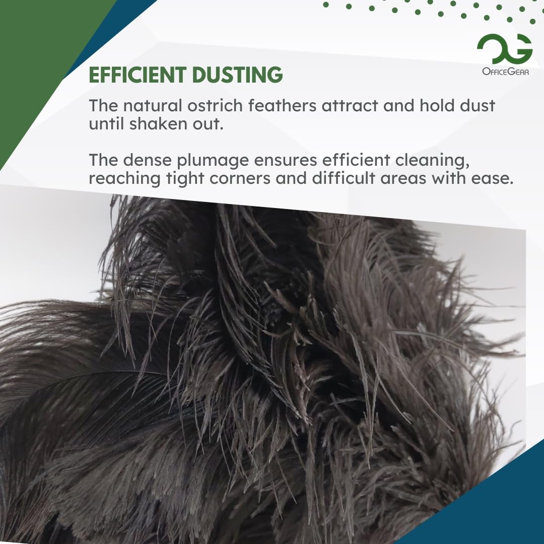 OfficeGear Extendable Genuine Ostrich Feather Duster [62-78cm] - Cleaning Lights, Doorways, Skirting, Cupboards, Ceilings