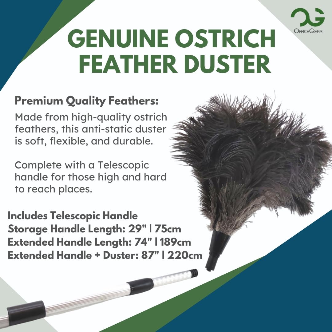 OfficeGear Extendable Telescopic Genuine Ostrich Feather Duster Large - Cleaning Lights, Doorways, Skirting, Cupboards, Ceilings