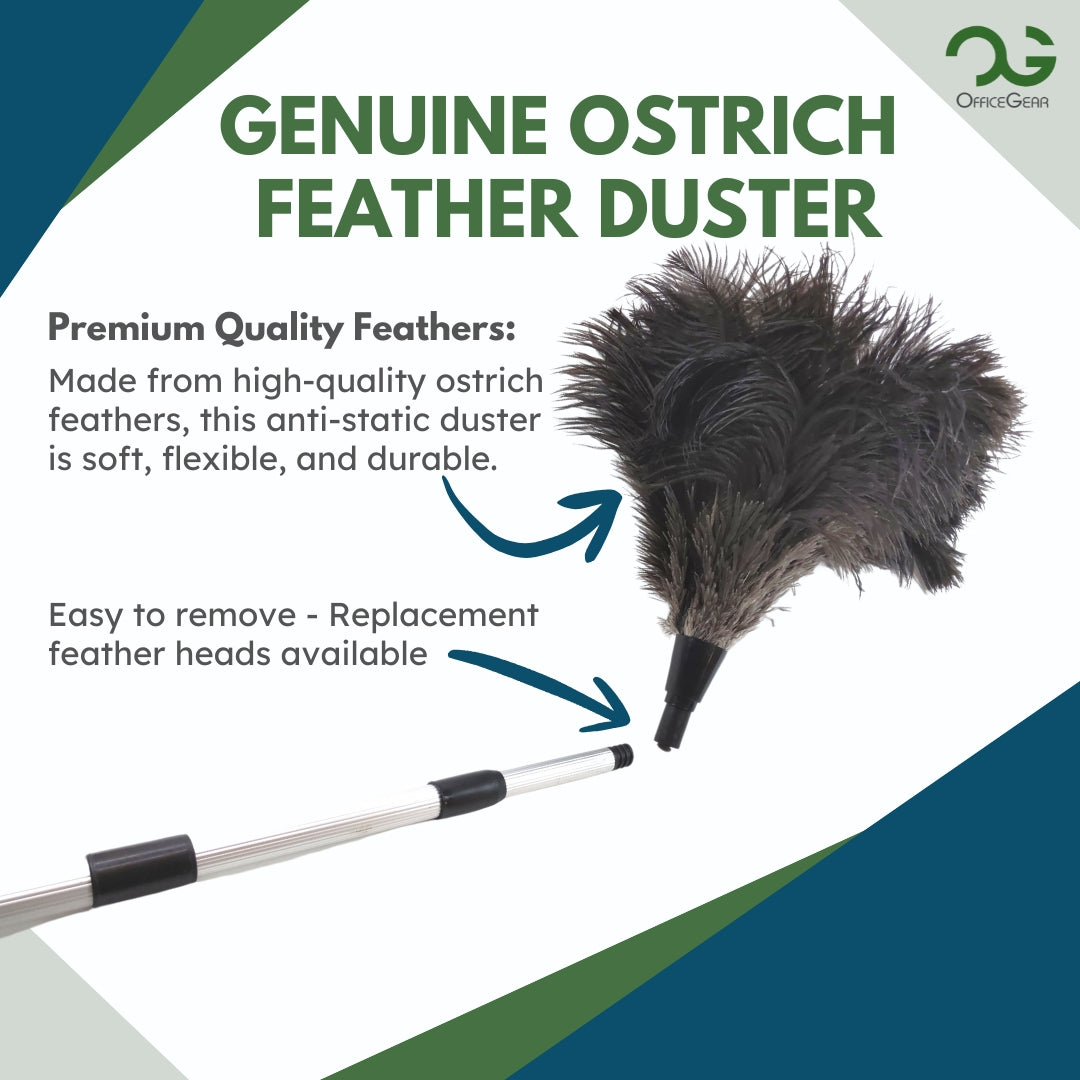 OfficeGear Extendable Telescopic Genuine Ostrich Feather Duster Large - Cleaning Lights, Doorways, Skirting, Cupboards, Ceilings
