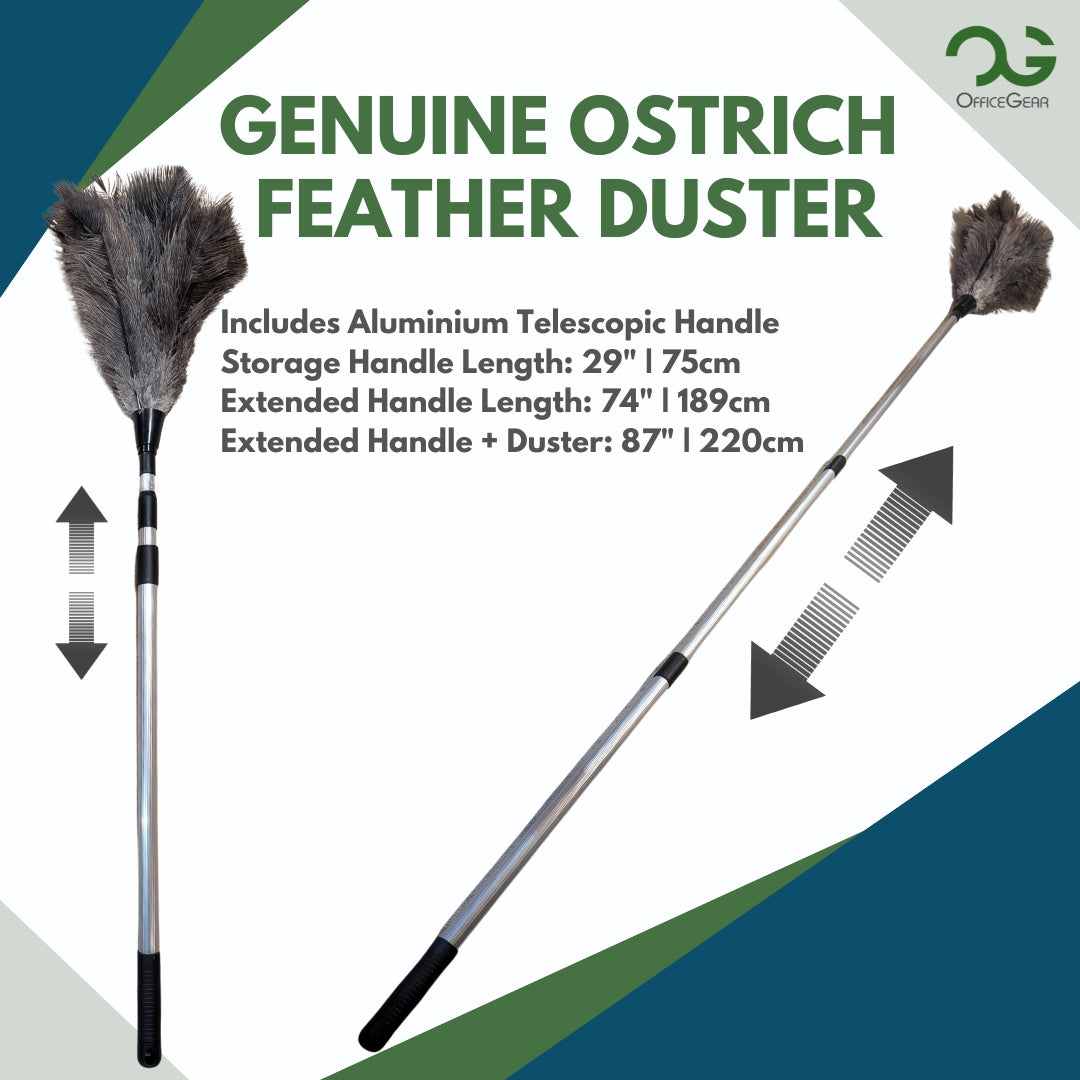 OfficeGear Extendable Telescopic Genuine Ostrich Feather Duster Large - Cleaning Lights, Doorways, Skirting, Cupboards, Ceilings